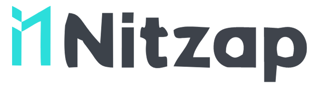 Nitzap Logo